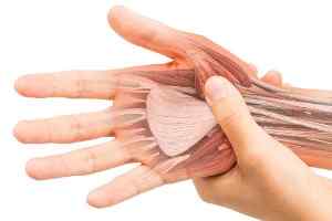 Preturi leziunile tendoanelor mainilor Bucuresti